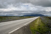 A photo of a road with flowers on each side leading to a mountain in Iceland